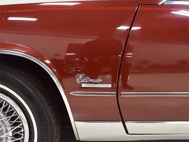 1979 Cadillac Eldorado (CC-1253132) for sale in Macedonia, Ohio