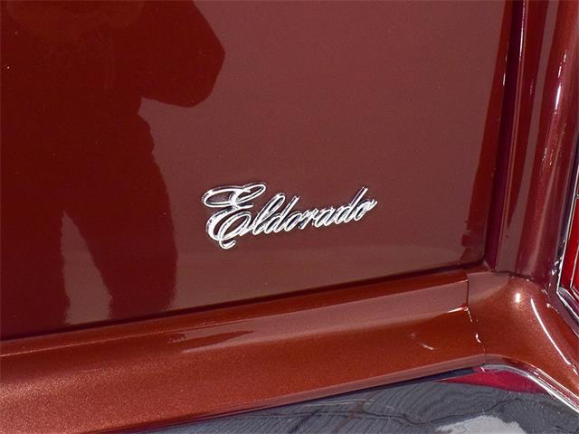 1979 Cadillac Eldorado (CC-1253132) for sale in Macedonia, Ohio