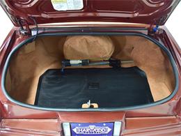 1979 Cadillac Eldorado (CC-1253132) for sale in Macedonia, Ohio