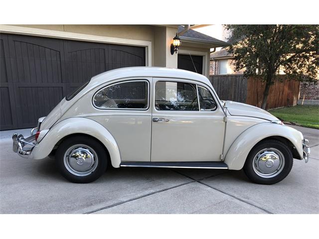 1967 Volkswagen Beetle (CC-1253562) for sale in Spring, Texas