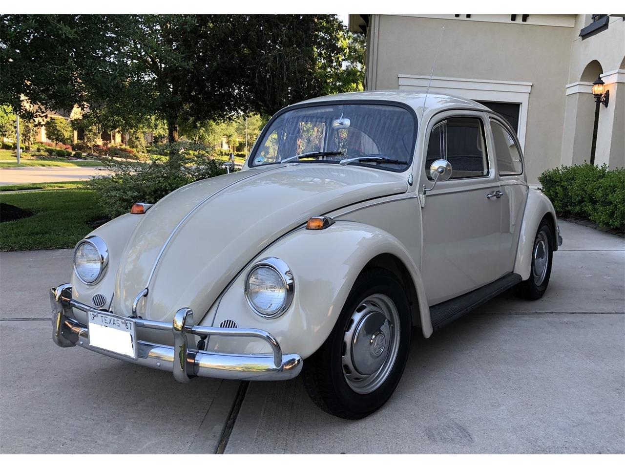 1967 Volkswagen Beetle for Sale | ClassicCars.com | CC-1253562