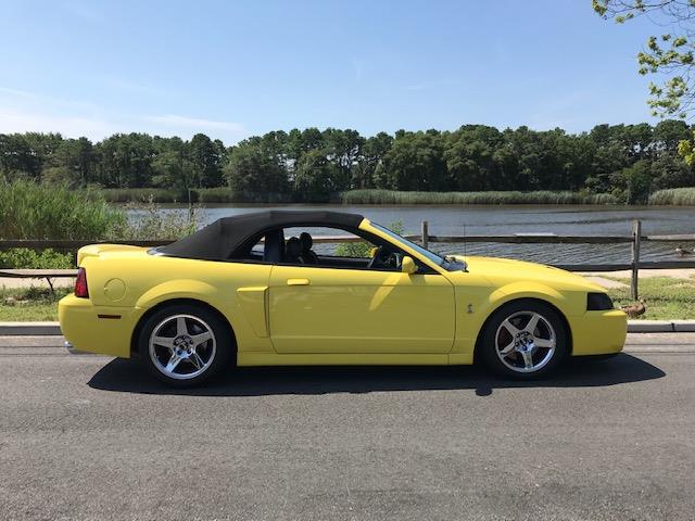 2003 Ford Mustang Cobra (CC-1254191) for sale in Orange, California