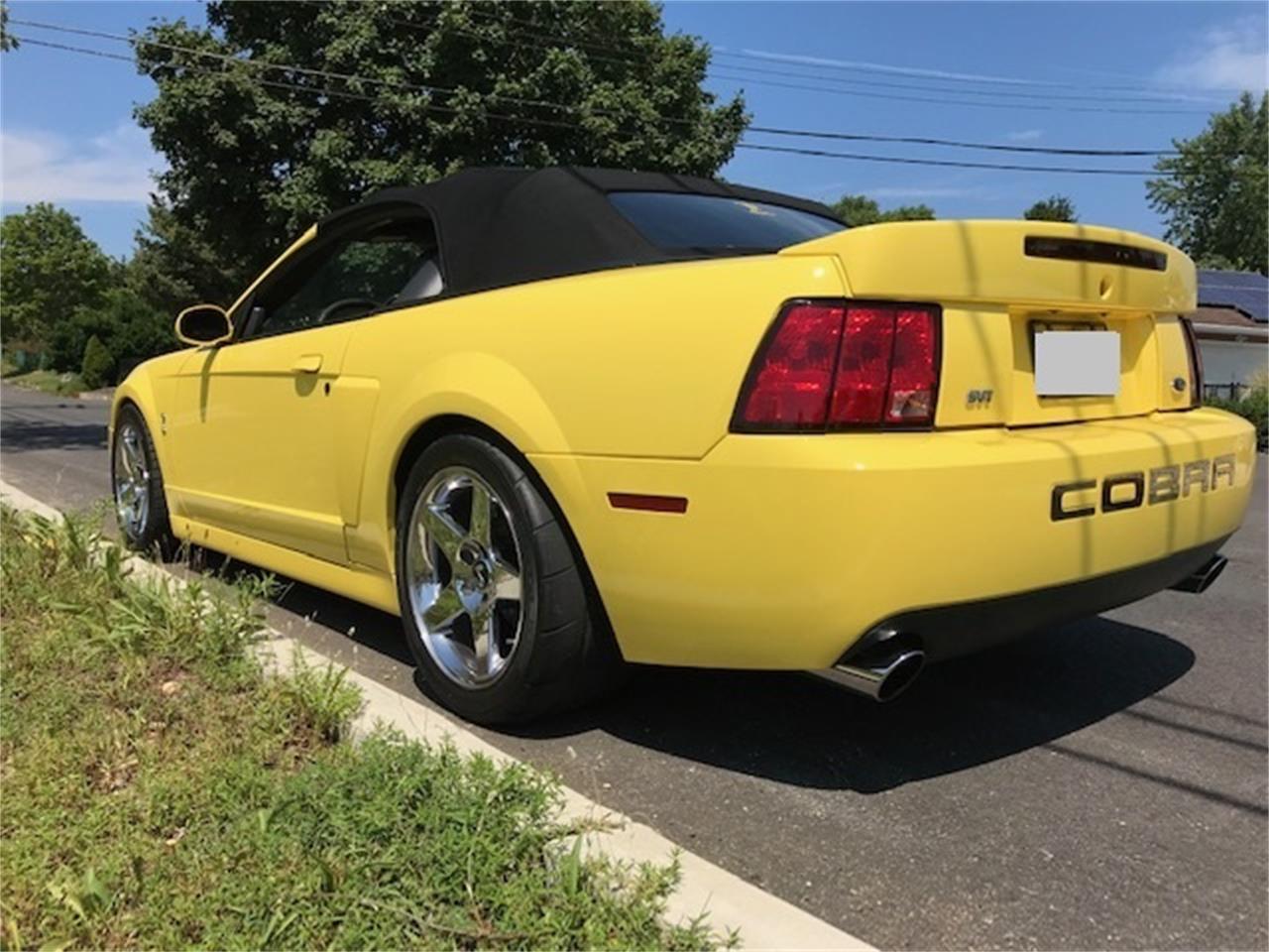 2003 Ford Mustang Cobra for Sale | ClassicCars.com | CC-1254191