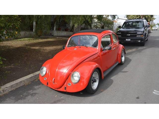 1963 Volkswagen Beetle (CC-1254959) for sale in Long Island, New York