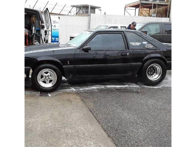 1991 Ford Mustang (CC-1255353) for sale in Long Island, New York