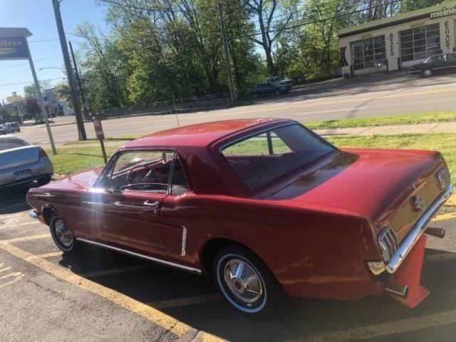 1964 Ford Mustang (CC-1255498) for sale in Long Island, New York
