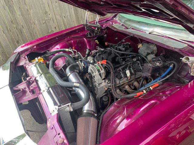 1975 Chevrolet Caprice (CC-1255565) for sale in Long Island, New York