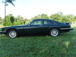 1990 Jaguar XJS (CC-1256138) for sale in Houston, Texas