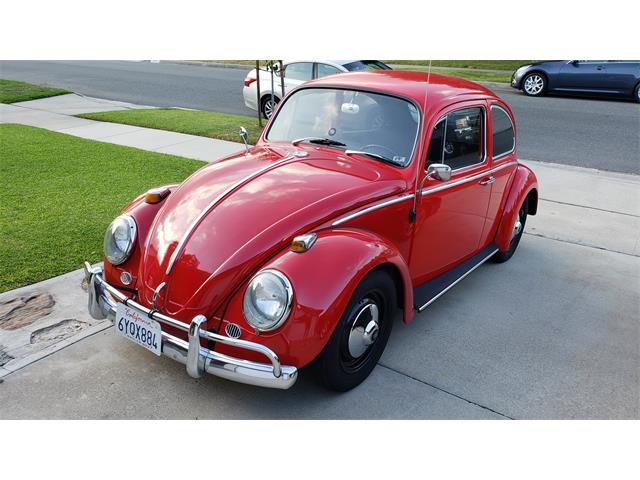 1965 Volkswagen Beetle (CC-1257082) for sale in Lakewood, California