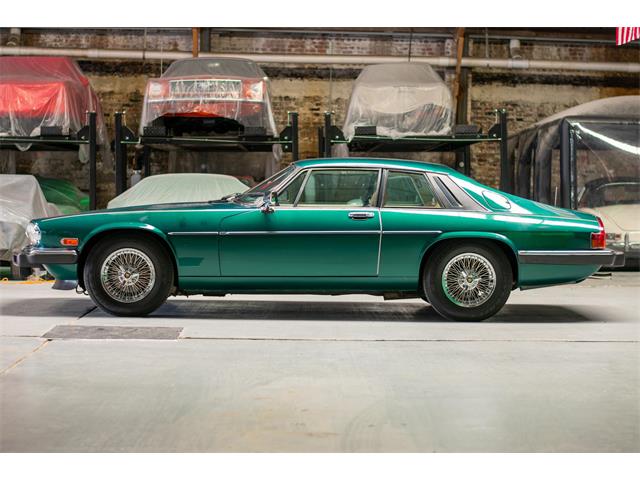 1983 Jaguar XJS (CC-1257240) for sale in New Orleans, Louisiana