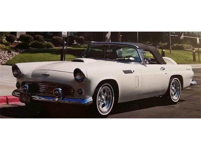 1956 Ford Thunderbird (CC-1258084) for sale in Littleton, Colorado