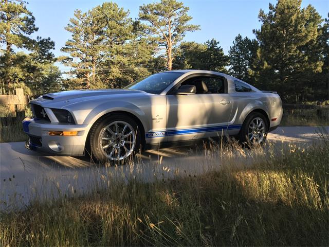 2009 Shelby GT500 (CC-1258197) for sale in Parker, Colorado