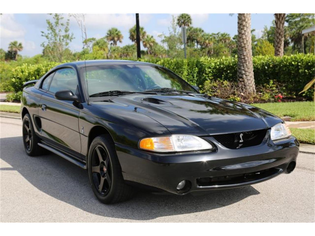 1996 Ford Mustang SVT Cobra for Sale | ClassicCars.com | CC-1258516