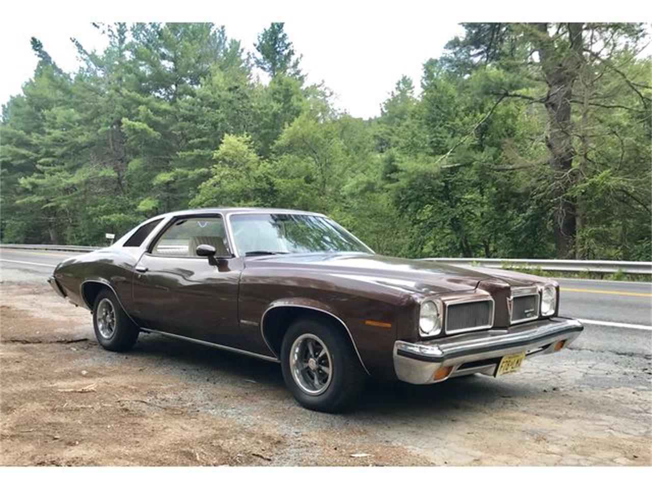 Pontiac Lemans 1973 For Sale