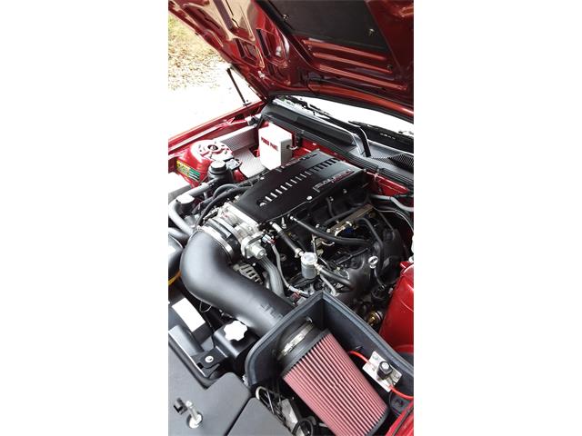 2007 Ford Mustang GT/CS (California Special) (CC-1259104) for sale in Lincoln, Delaware