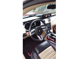 2007 Ford Mustang GT/CS (California Special) (CC-1259104) for sale in Lincoln, Delaware