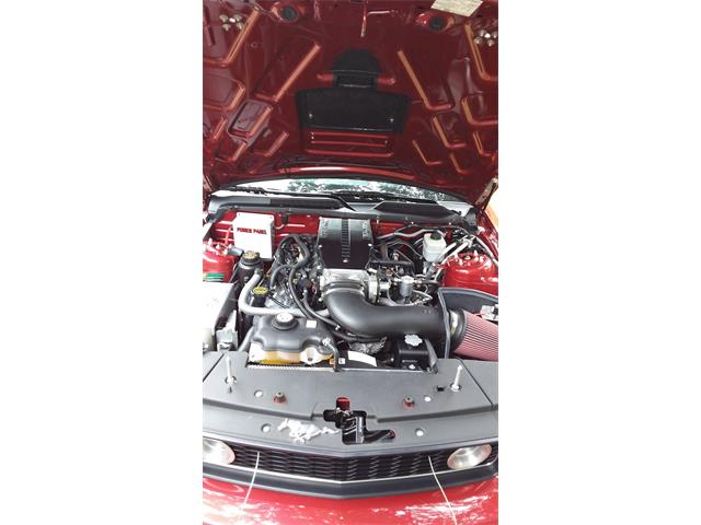 2007 Ford Mustang GT/CS (California Special) (CC-1259104) for sale in Lincoln, Delaware