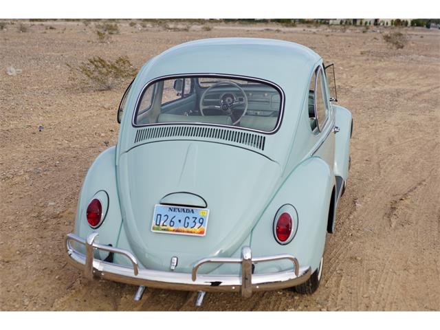 1965 Volkswagen Beetle (CC-1259204) for sale in Las Vegas, Nevada