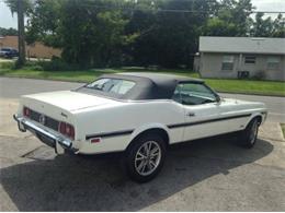 1973 Ford Mustang (CC-1259628) for sale in Cadillac, Michigan