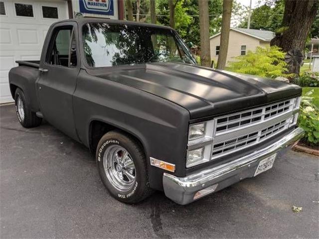 1982 Chevrolet Pickup (CC-1259659) for sale in Cadillac, Michigan