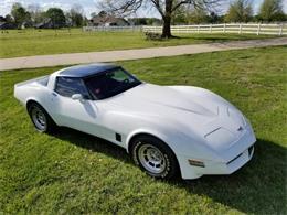 1981 Chevrolet Corvette (CC-1250968) for sale in Cadillac, Michigan