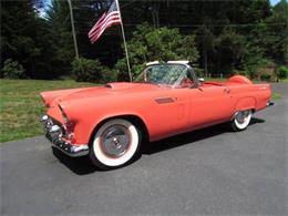 1956 Ford Thunderbird (CC-1259771) for sale in Cadillac, Michigan