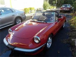 1987 Alfa Romeo Spider (CC-1261006) for sale in Long Island, New York