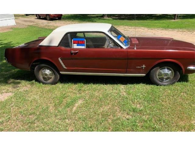 1966 Ford Mustang (CC-1260117) for sale in Cadillac, Michigan