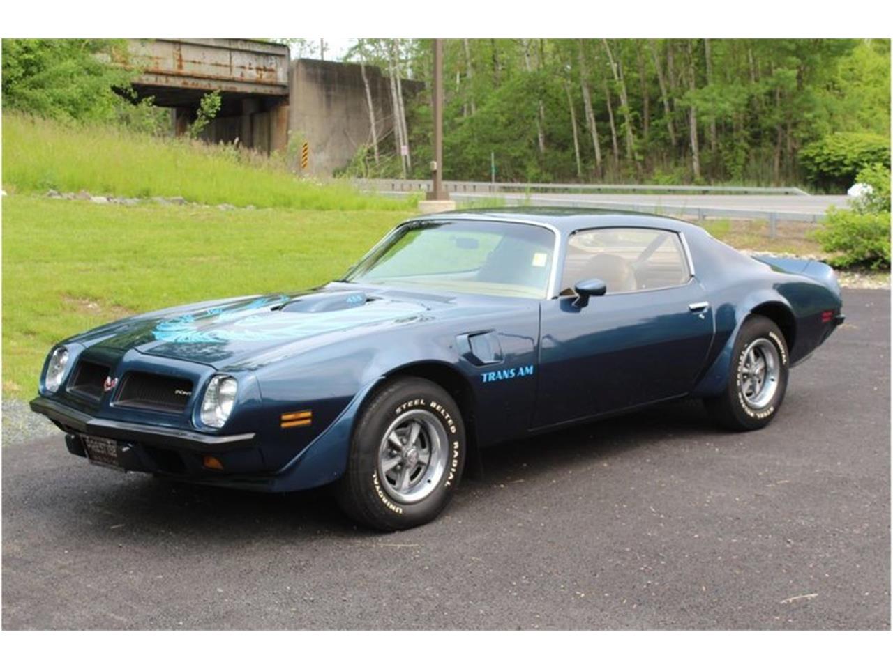 1974 Pontiac Firebird Trans Am for Sale | ClassicCars.com | CC-1261331