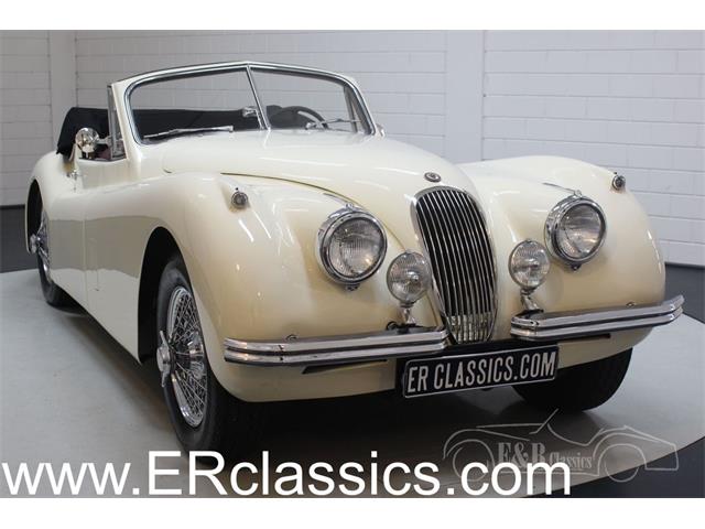 1954 Jaguar XK120 (CC-1262018) for sale in Waalwijk, Noord-Brabant