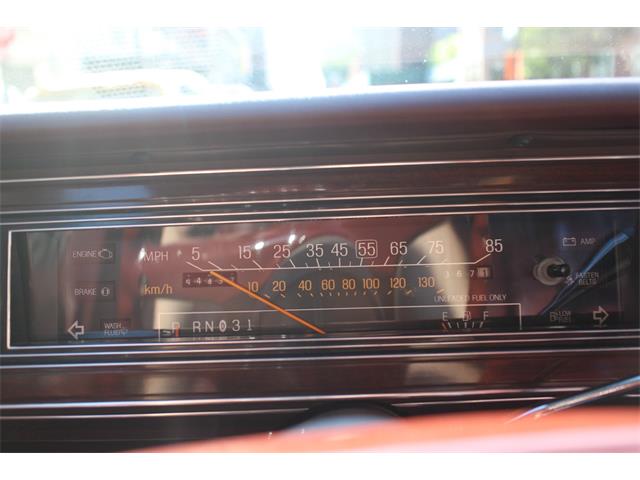 1981 Ford LTD (CC-1262025) for sale in New York, New York