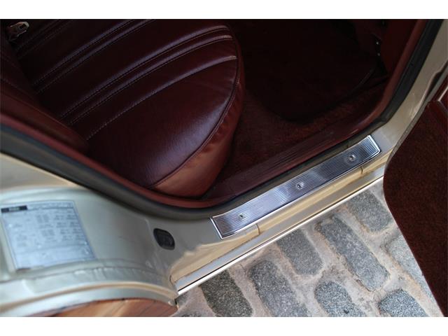 1981 Ford LTD (CC-1262025) for sale in New York, New York