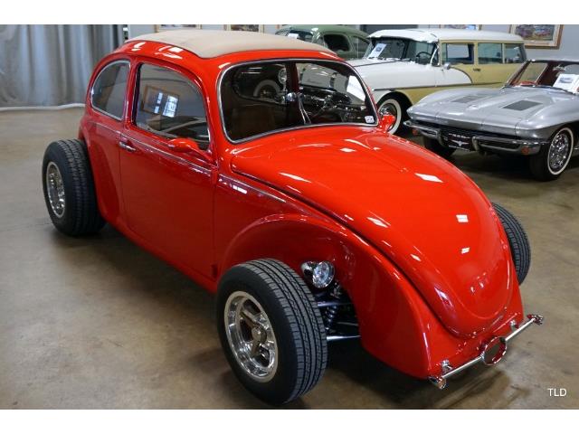 1967 Volkswagen Beetle (CC-1262483) for sale in Chicago, Illinois