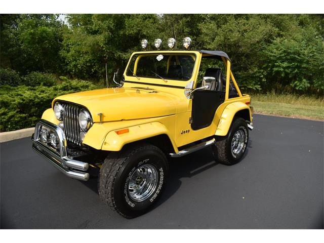 1980 Jeep CJ (CC-1263321) for sale in Elkhart, Indiana
