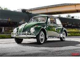 1969 Volkswagen Beetle (CC-1263425) for sale in Fort Lauderdale, Florida