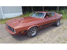 1973 Ford Mustang (CC-1260347) for sale in Cadillac, Michigan