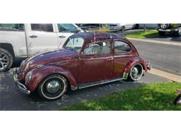 1962 Volkswagen Beetle (CC-1260354) for sale in Cadillac, Michigan