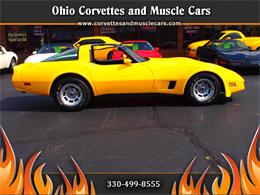 1981 Chevrolet Corvette (CC-1263600) for sale in North Canton, Ohio