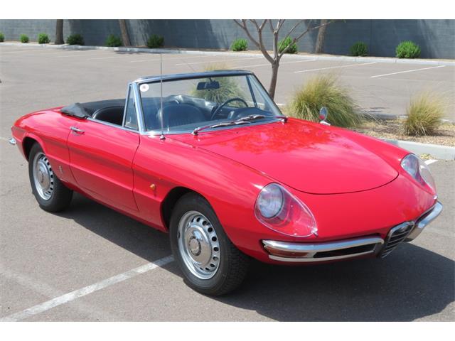 1967 Alfa Romeo Spider Duetto (CC-1263679) for sale in Tempe, Arizona