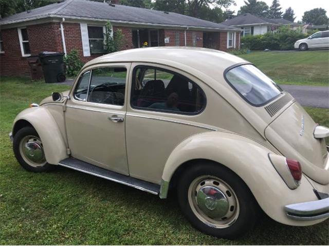 1969 Volkswagen Beetle (CC-1260401) for sale in Cadillac, Michigan