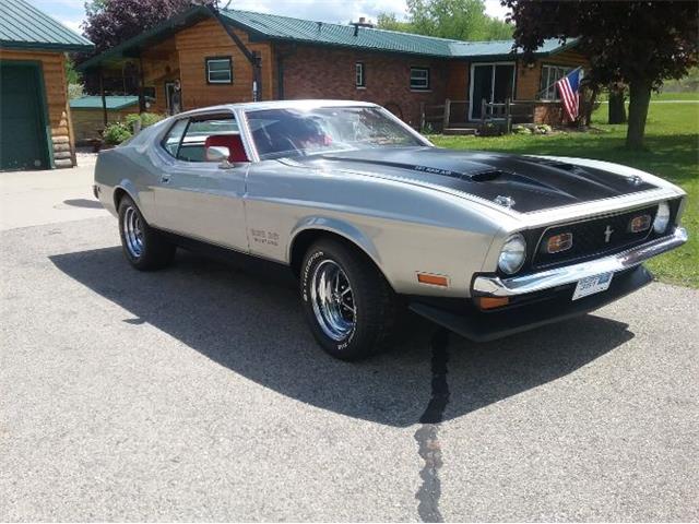 1971 Ford Mustang (CC-1260041) for sale in Cadillac, Michigan