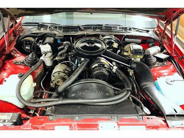1984 Pontiac Firebird (CC-1264271) for sale in Las Vegas, Nevada