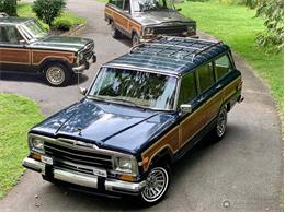 1988 Jeep Grand Wagoneer (CC-1265063) for sale in Bemus Point, New York