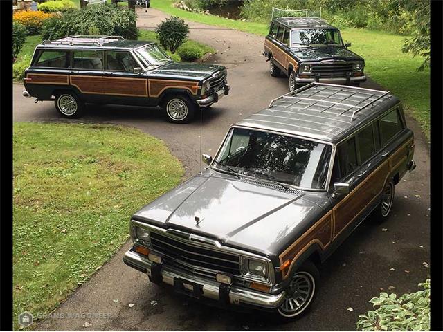 1990 Jeep Grand Wagoneer (CC-1265081) for sale in Bemus Point, New York