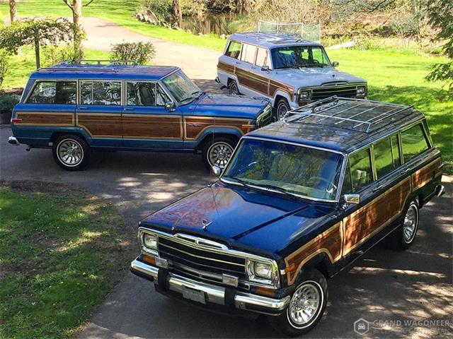 1989 Jeep Grand Wagoneer (CC-1265082) for sale in Bemus Point, New York