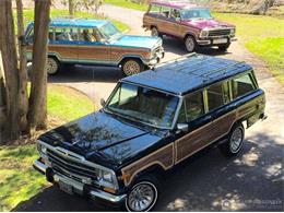 1987 Jeep Grand Wagoneer (CC-1265087) for sale in Bemus Point, New York