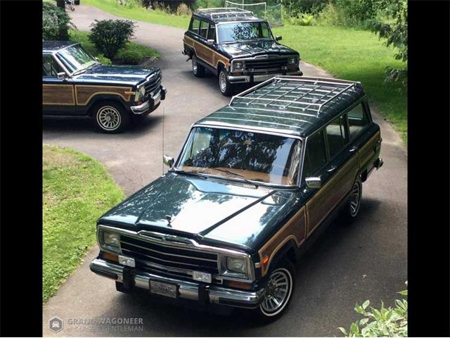 1984 Jeep Grand Wagoneer (CC-1265097) for sale in Bemus Point, New York