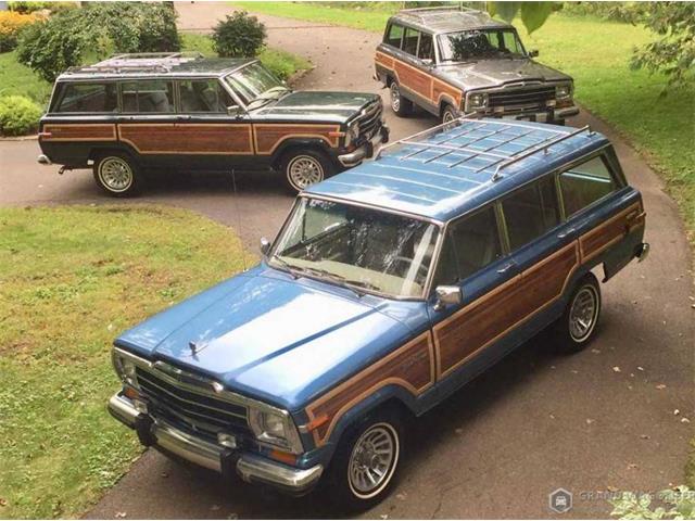 1991 Jeep Grand Wagoneer (CC-1265099) for sale in Bemus Point, New York