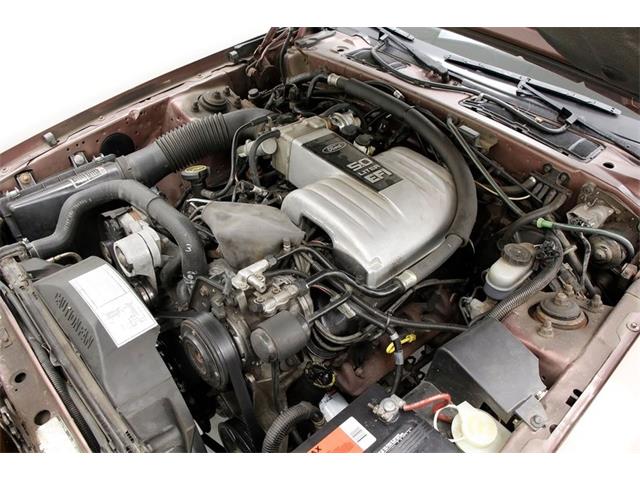 1988 Ford Thunderbird (CC-1265124) for sale in Morgantown, Pennsylvania
