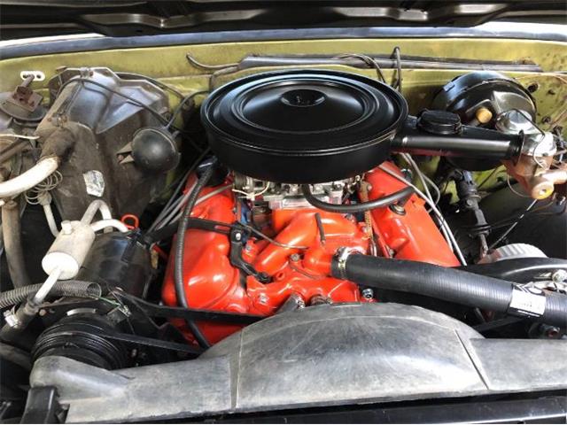1969 Chevrolet C20 (CC-1265790) for sale in Cadillac, Michigan